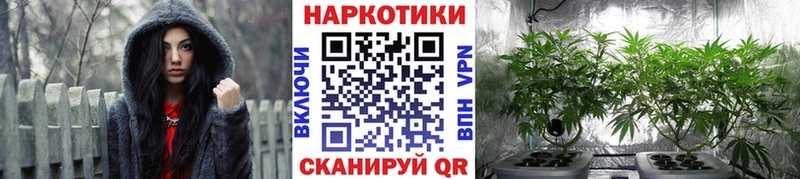 Где найти наркотики Ивантеевка ГАШ Кокаин Меф A PVP МАРИХУАНА